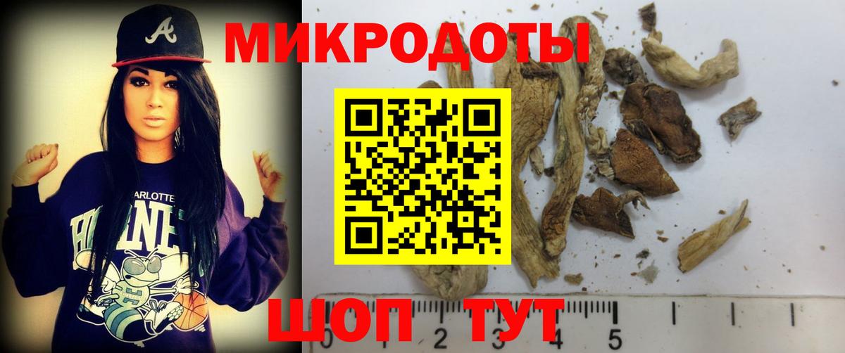Псилоцибиновые грибы мухоморы  наркошоп  Отрадный  Псилоцибиновые грибы Cubensis  Вход с VPN 
